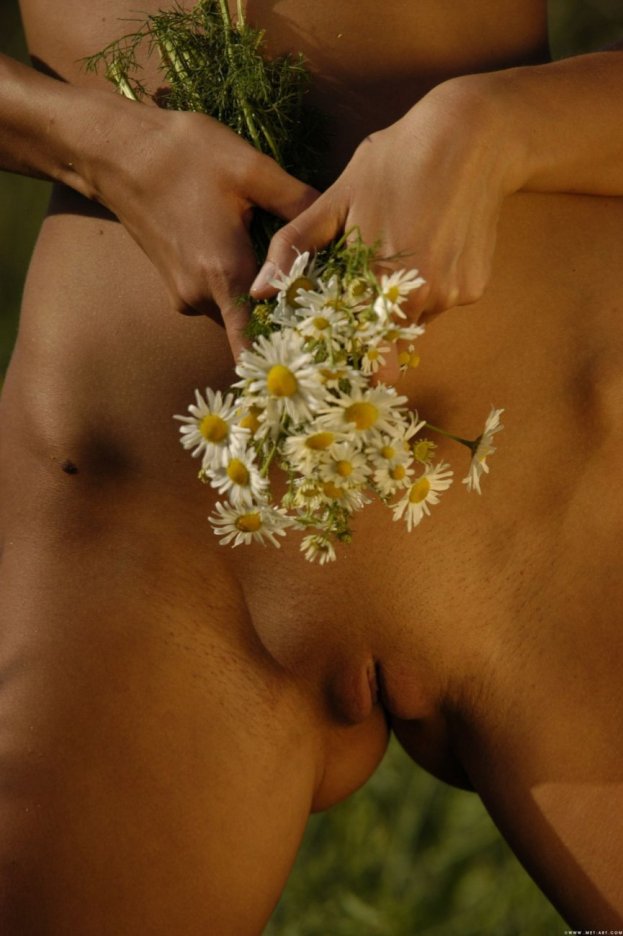 Смешные эротические ромашки