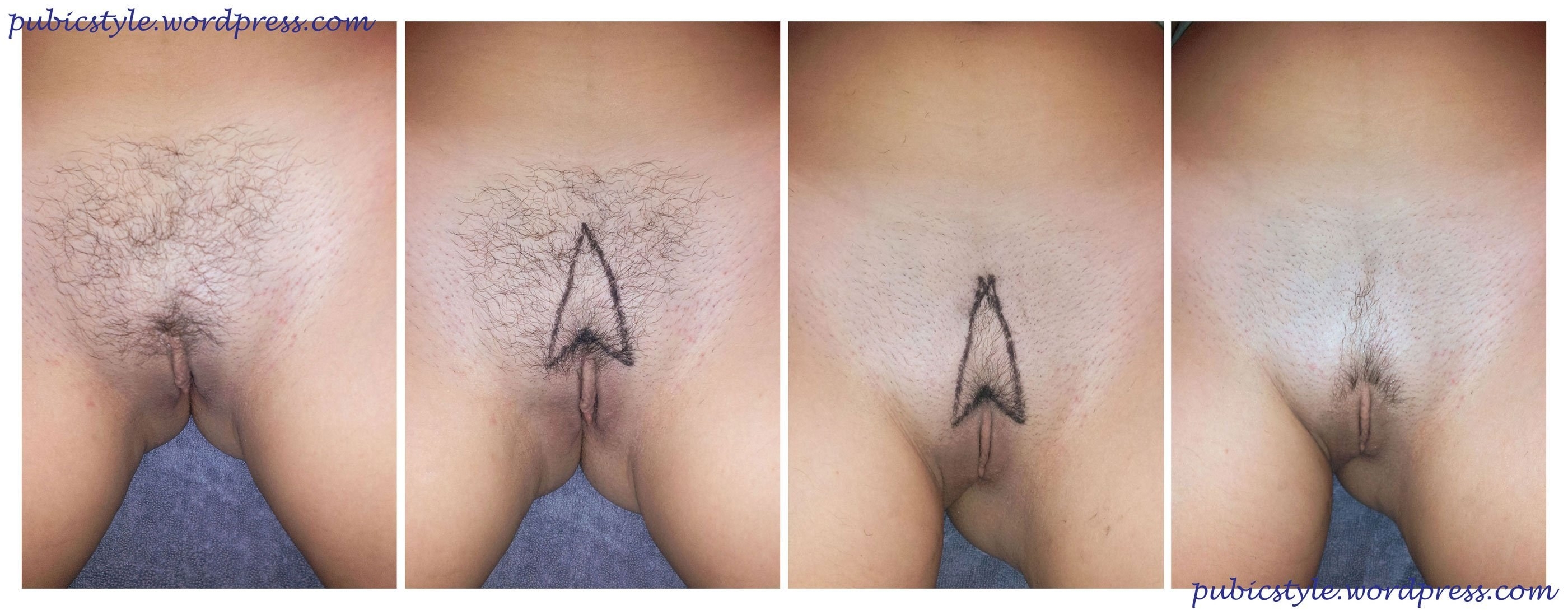 Vagina pubic hair styles - 59 photos