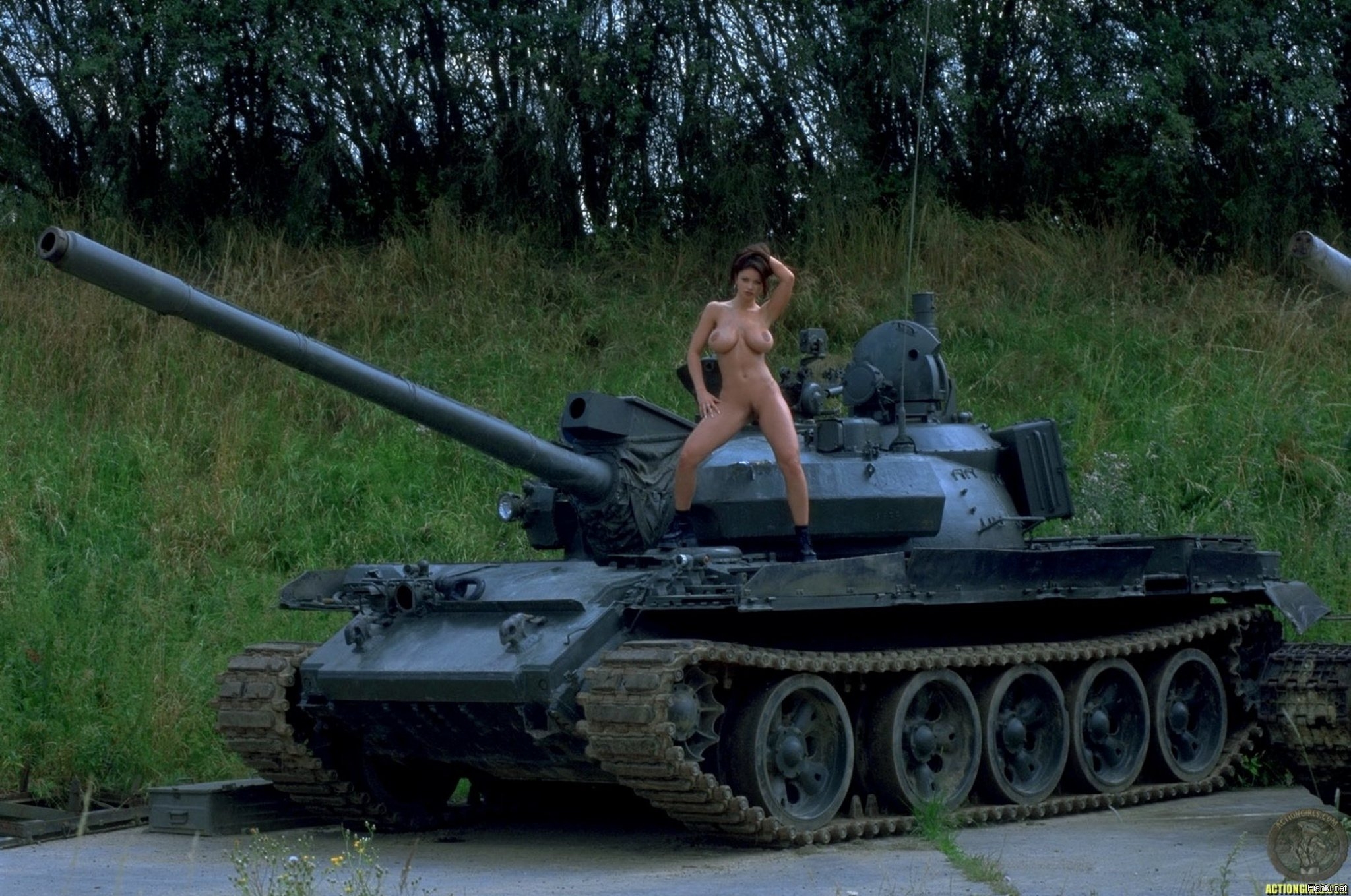 Порно японские танки фото 77