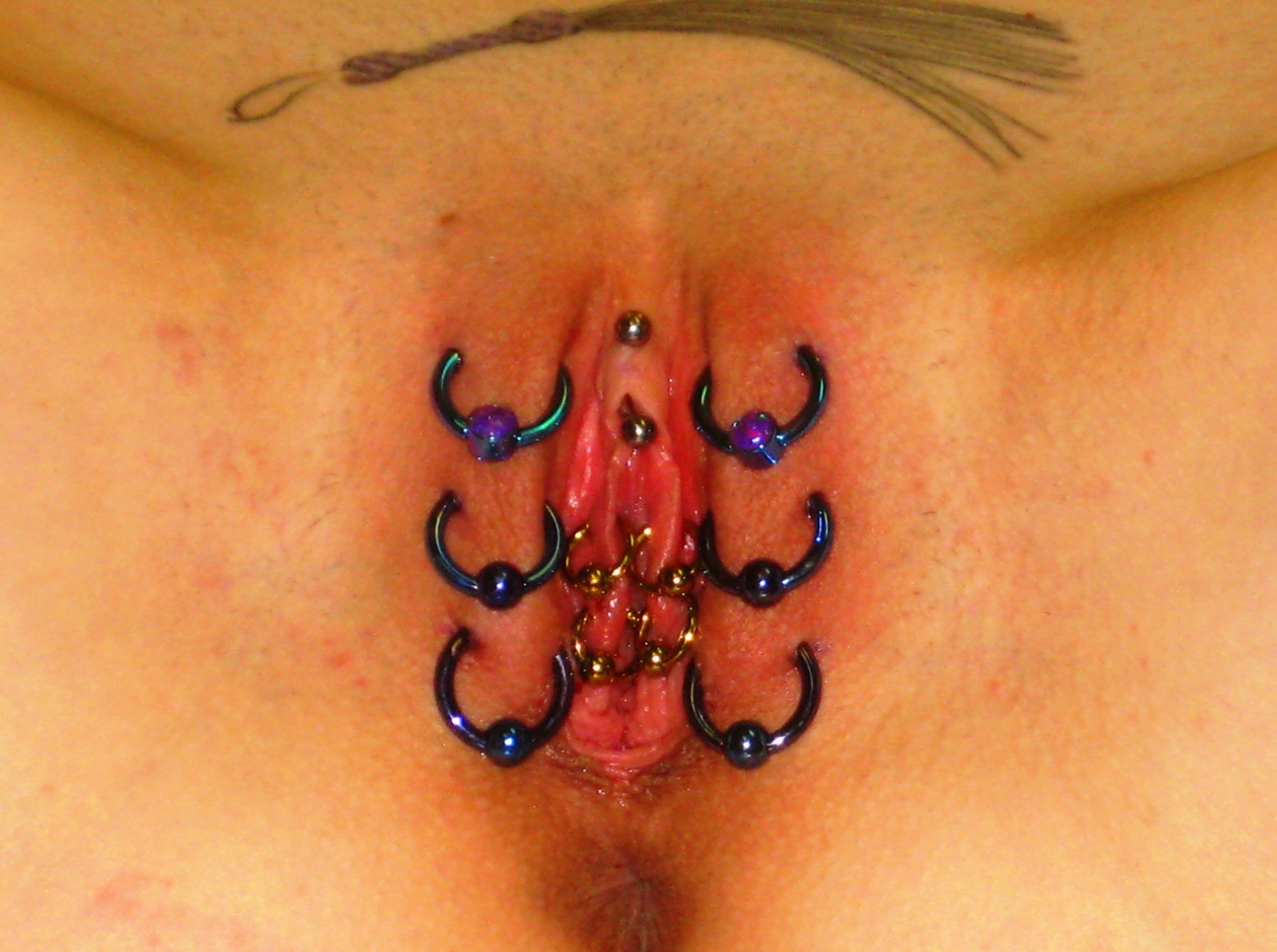 Pierced Pussys