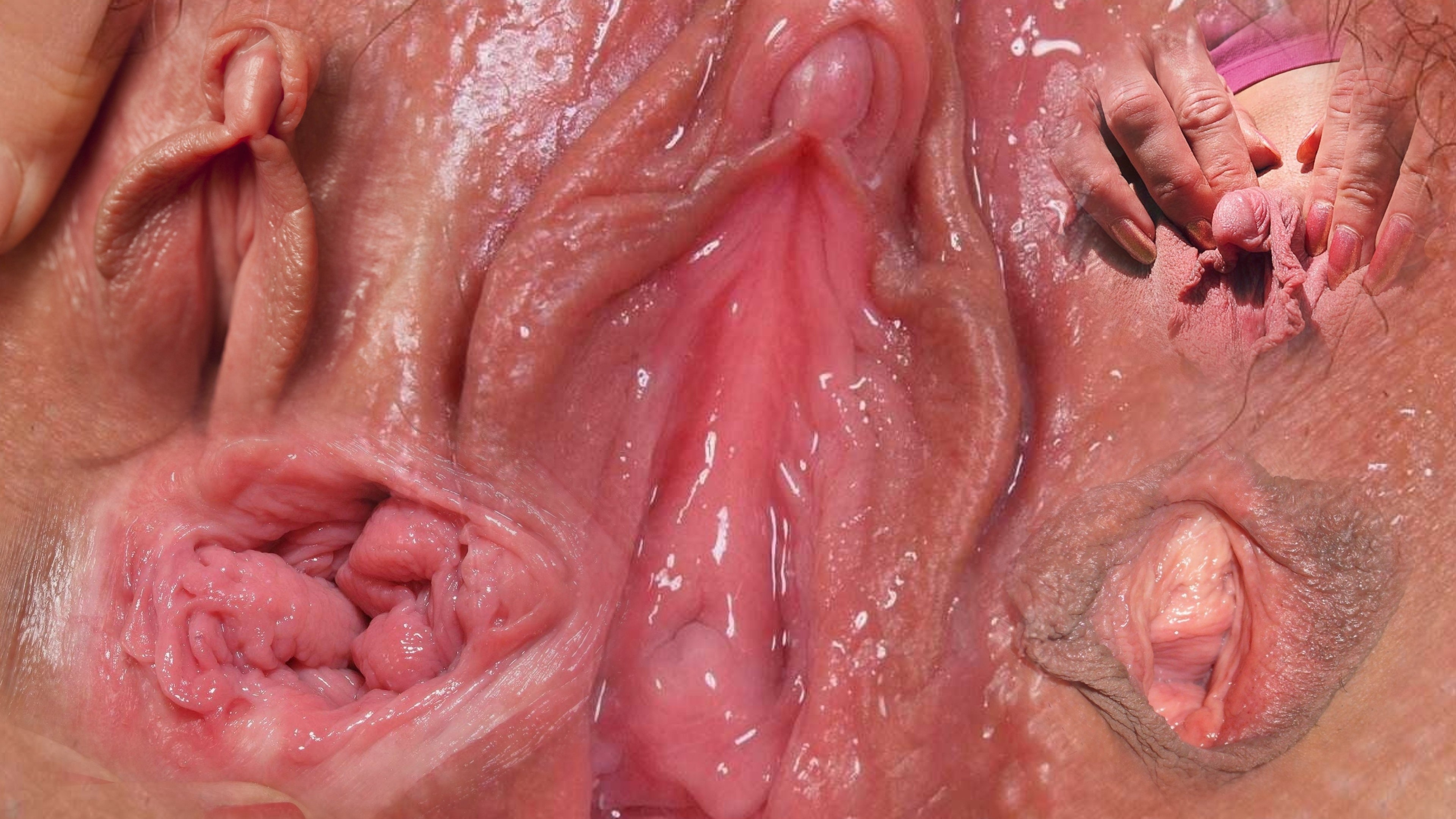 вагина из внутри порно фото 108
