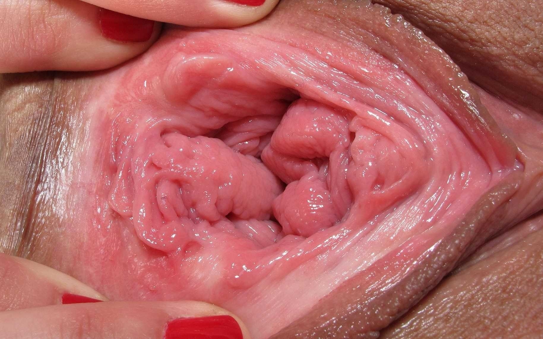 вагина из внутри порно фото 16