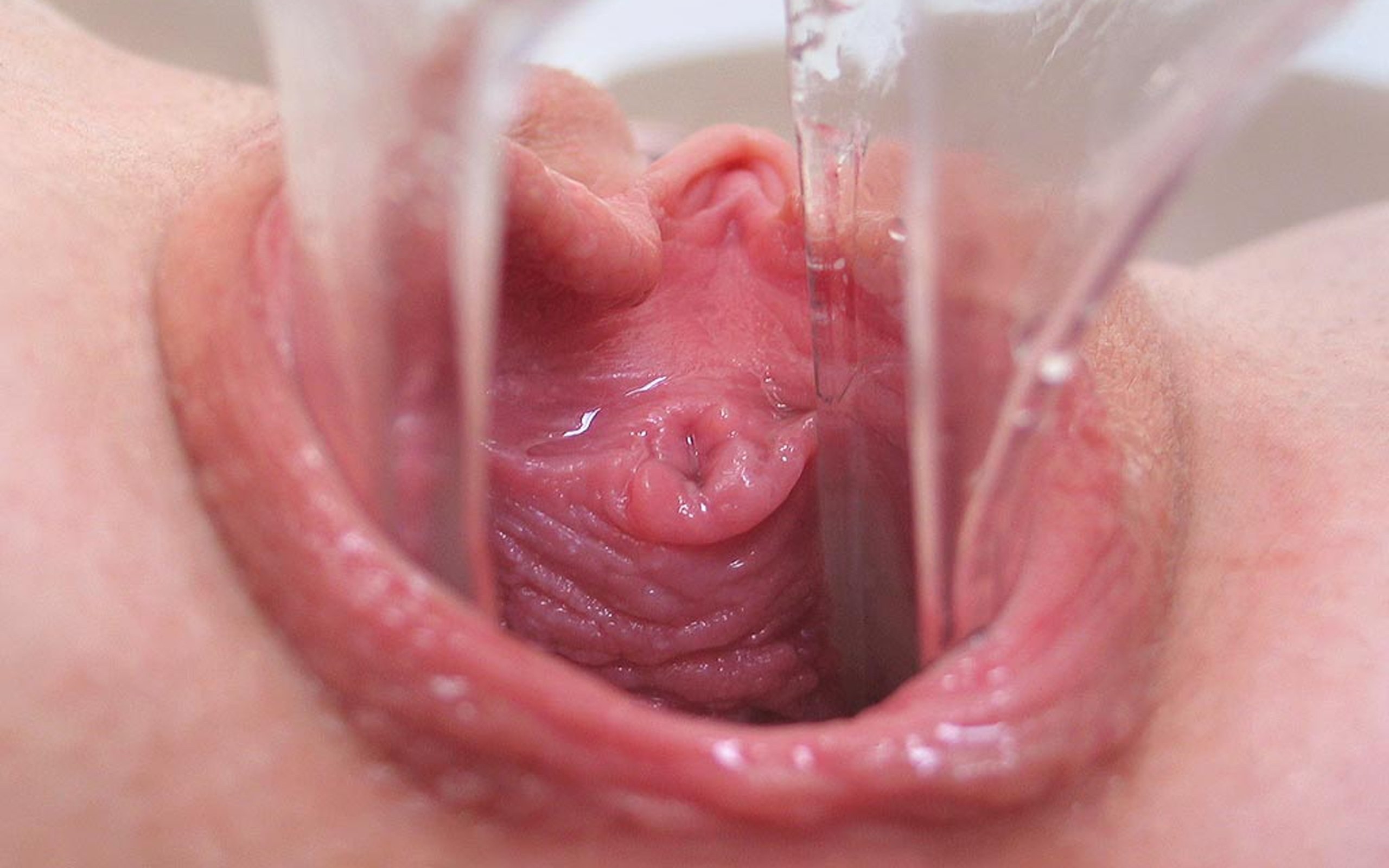 видео изнутри вагины в сперме фото 14