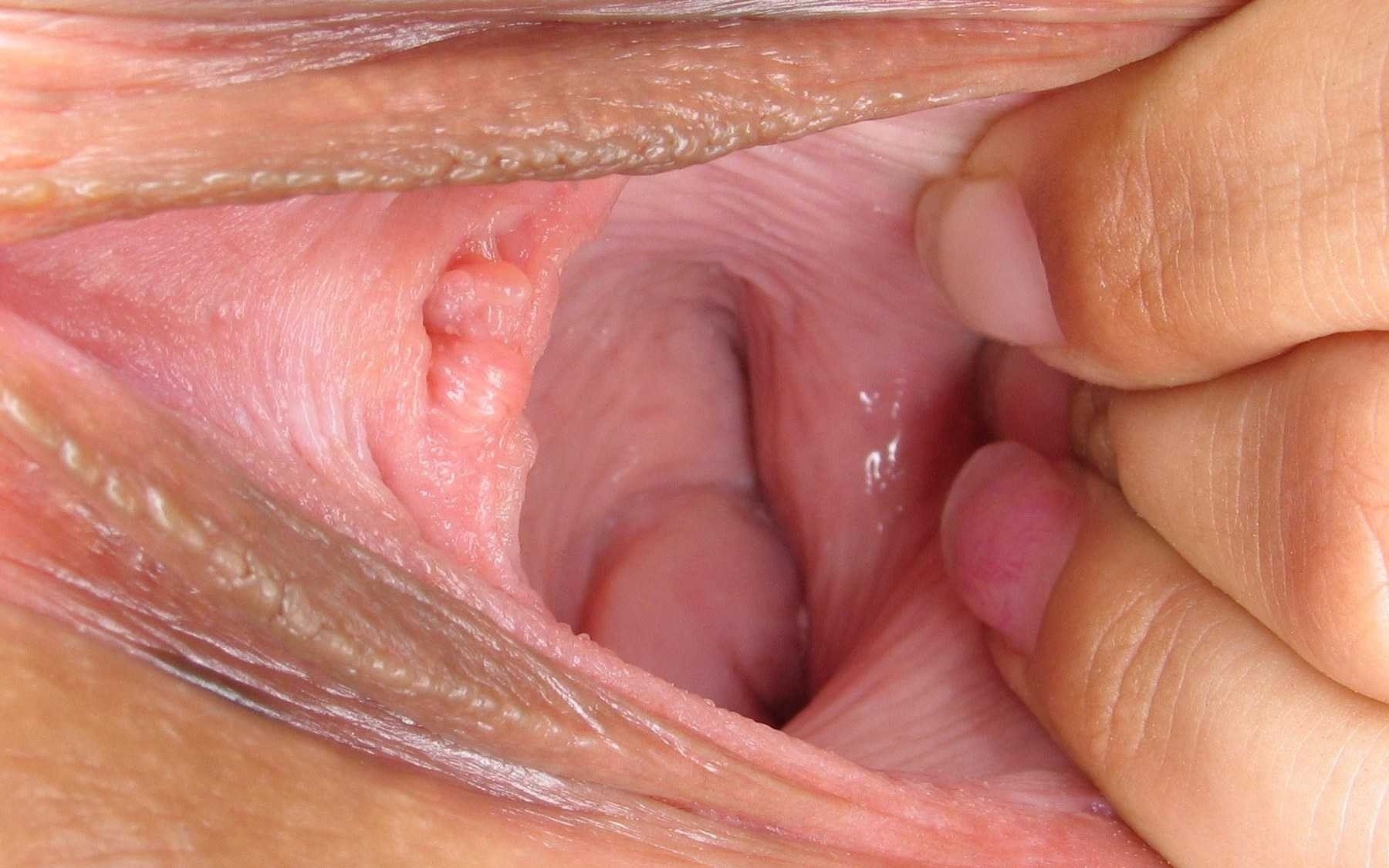 вагина из внутри порно фото 29