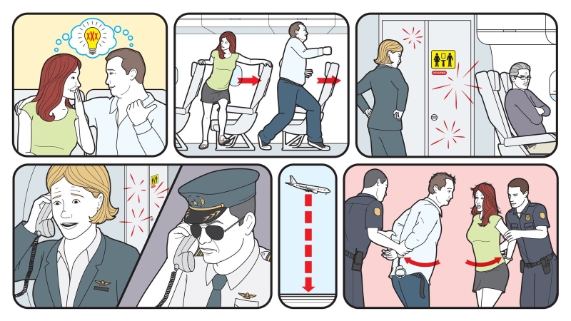 Разделась в туалете самолета